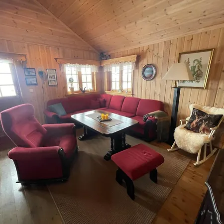 Springaren - Close To Gaustatoppen *