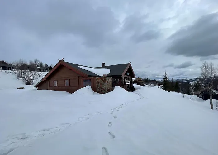 Springaren - Close To Gaustatoppen * Tuddal