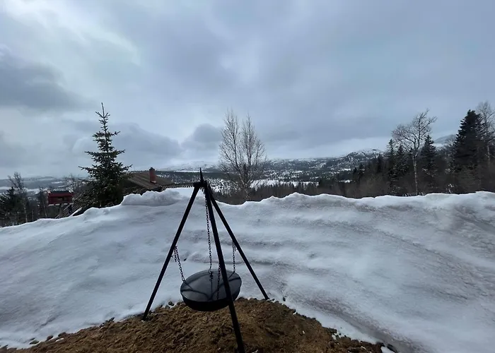 Springaren - Close To Gaustatoppen *