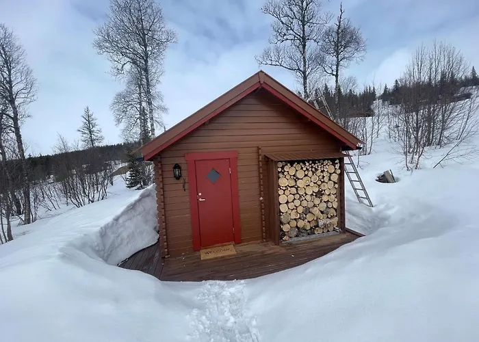 Springaren - Close To Gaustatoppen Tuddal