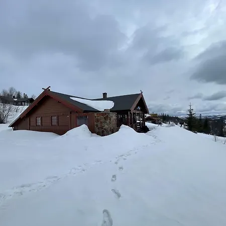 Springaren - Close To Gaustatoppen * Hjartdal