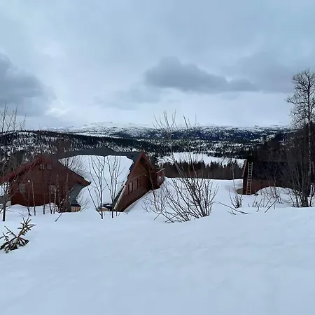 Springaren - Close To Gaustatoppen Feriehus