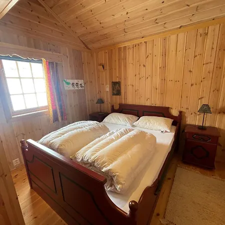 Springaren - Close To Gaustatoppen Holiday home Hjartdal
