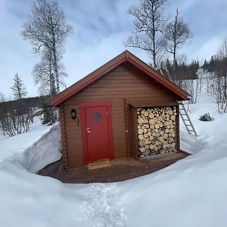 Springaren - Close To Gaustatoppen Tuddal